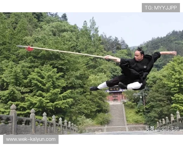 探索中国武术精髓深度解读与经典技艺展示，传承与创新并行