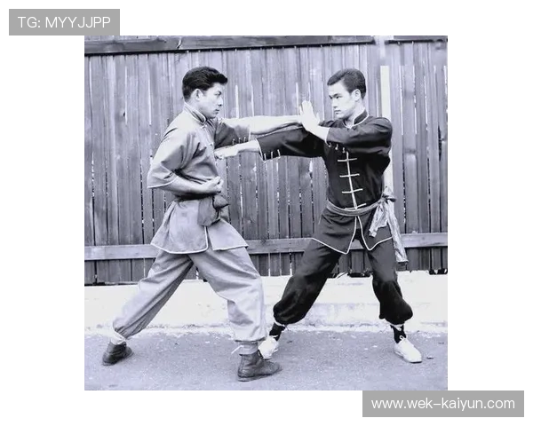 《传世武艺：探索中国武术高手的传奇人生与心法奥秘》