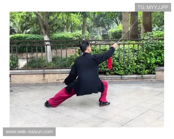 练武术不仅强身健体还可培养意志力与自信心提升个人综合素质