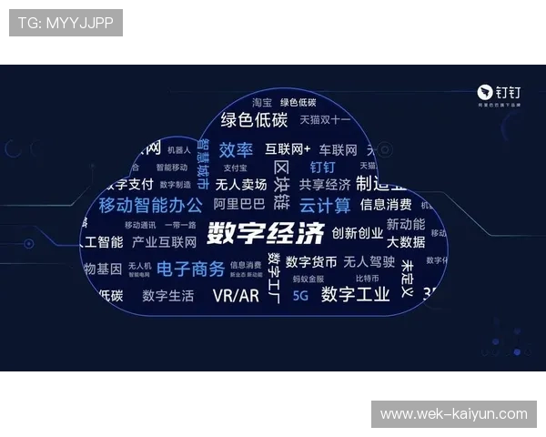 面向未来数字经济的云计算产业发展趋势与技术创新深度分析报告