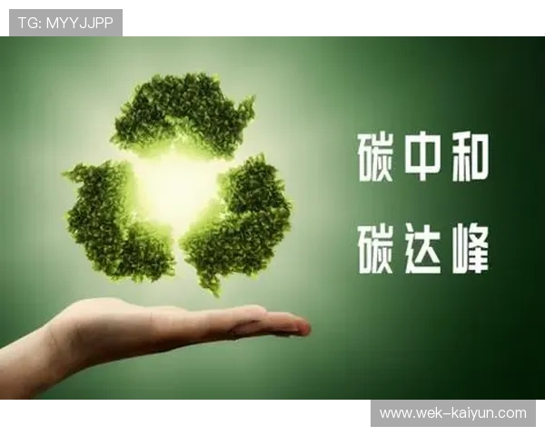 推动绿色低碳发展新能源政策助力能源结构转型与经济升级