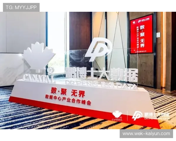 赏金国际引领全球数字资产创新布局打造安全高效多元化财富增长新生态 赏金国际引领全球数字资产创新布局打造安全高效多元化财富增长新生态